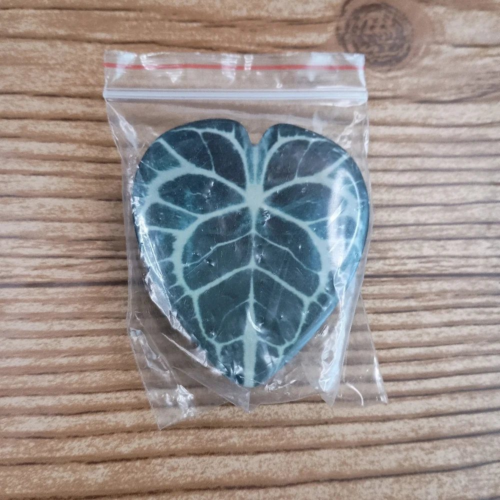 🎉 4 Items/$15 🎉 Green And White Leaf-Shaped Phone Holder